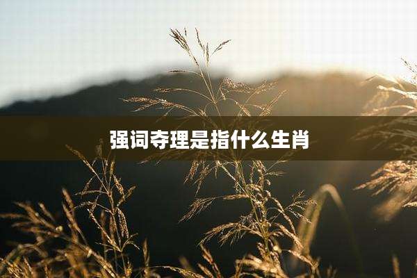强词夺理是指什么生肖