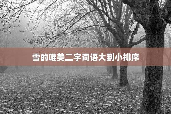 雪的唯美二字词语大到小排序