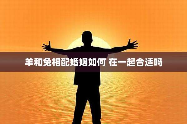 羊和兔相配婚姻如何 在一起合适吗