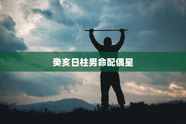 癸亥日柱男命配偶星