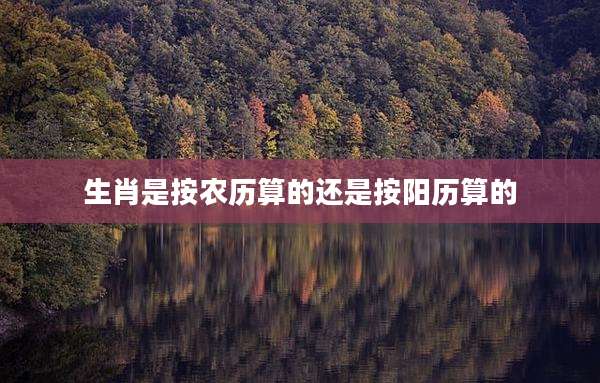 生肖是按农历算的还是按阳历算的
