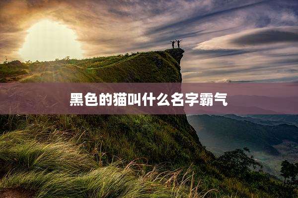 黑色的猫叫什么名字霸气