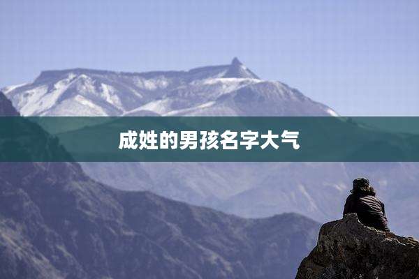 成姓的男孩名字大气