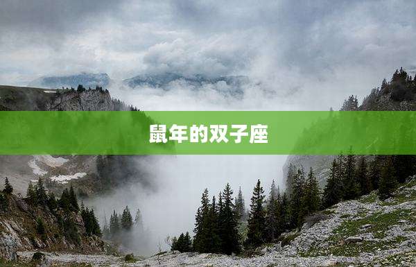 鼠年的双子座
