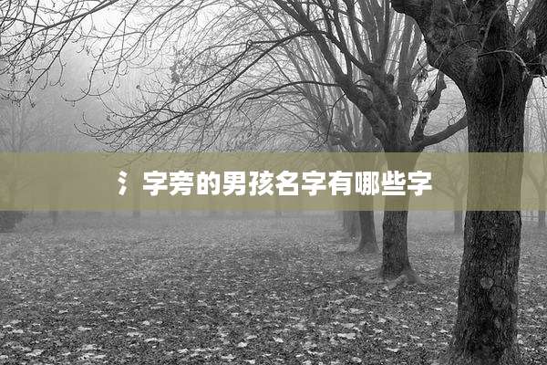 氵字旁的男孩名字有哪些字