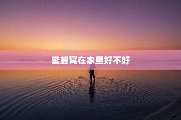 蜜蜂窝在家里好不好