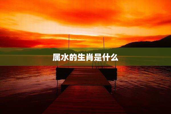 属水的生肖是什么