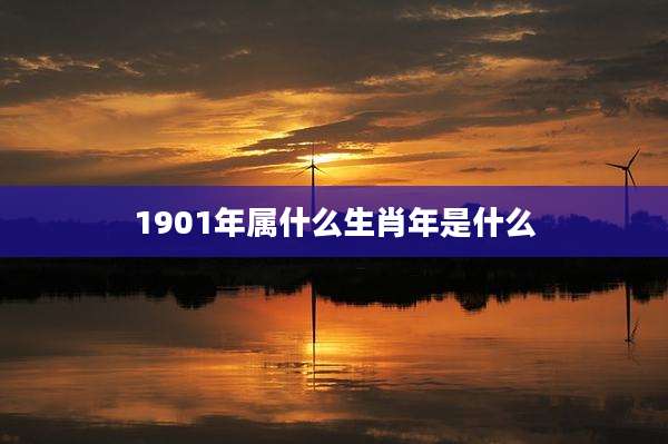 1901年属什么生肖年是什么