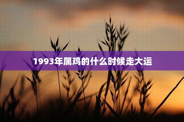1993年属鸡的什么时候走大运