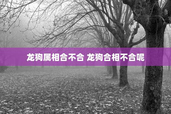 龙狗属相合不合 龙狗合相不合呢