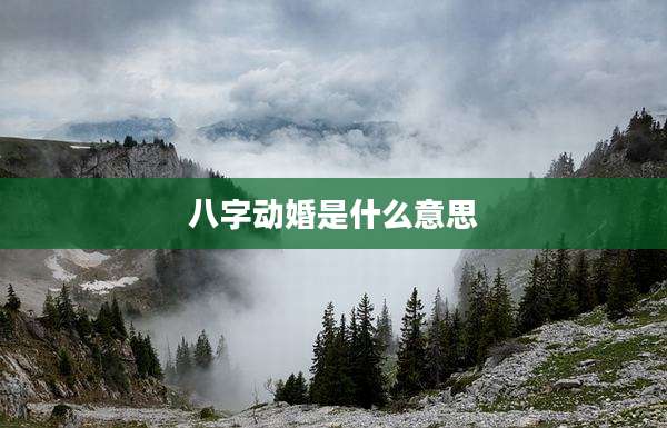 八字动婚是什么意思