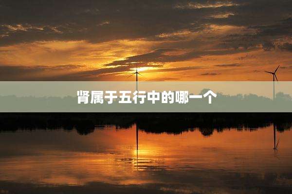 肾属于五行中的哪一个