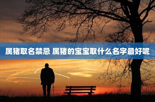 属猪取名禁忌 属猪的宝宝取什么名字最好呢