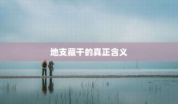 地支藏干的真正含义