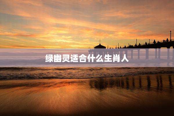 绿幽灵适合什么生肖人