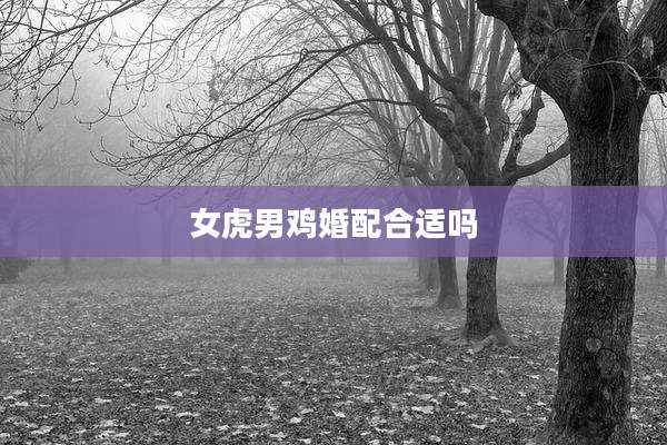 女虎男鸡婚配合适吗