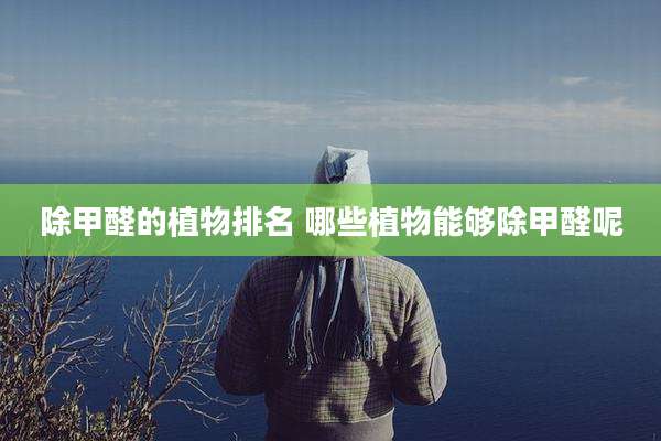 除甲醛的植物排名 哪些植物能够除甲醛呢