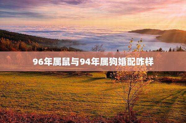 96年属鼠与94年属狗婚配咋样
