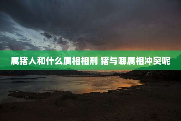 属猪人和什么属相相刑 猪与哪属相冲突呢