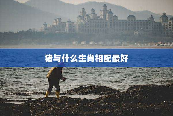 猪与什么生肖相配最好