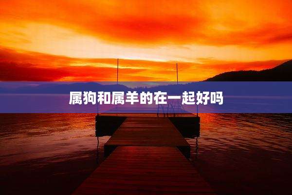 属狗和属羊的在一起好吗