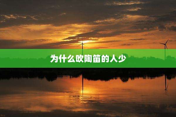 为什么吹陶笛的人少