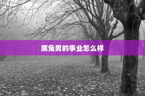 属兔男的事业怎么样