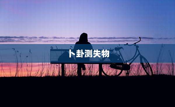 卜卦测失物