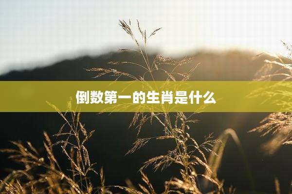 倒数第一的生肖是什么