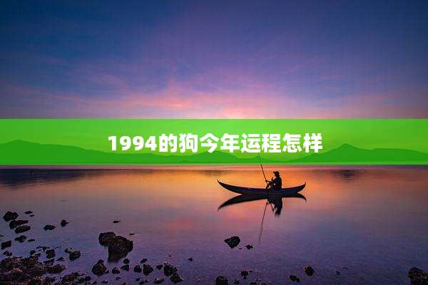 1994的狗今年运程怎样