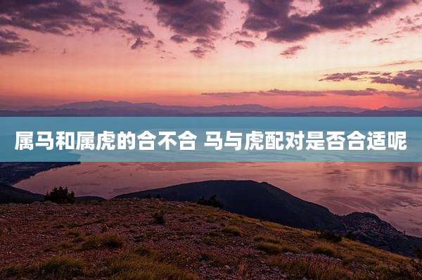 属马和属虎的合不合 马与虎配对是否合适呢