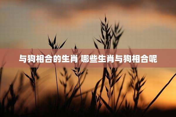 与狗相合的生肖 哪些生肖与狗相合呢