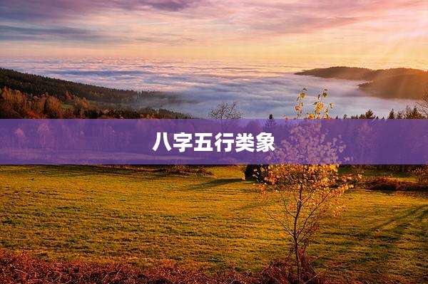 八字五行类象