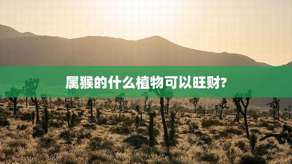 属猴的什么植物可以旺财?