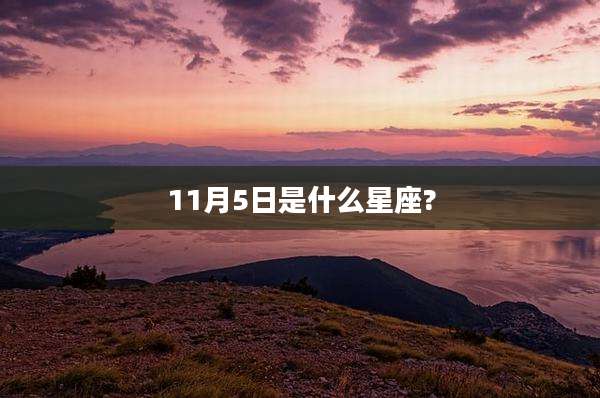 11月5日是什么星座?