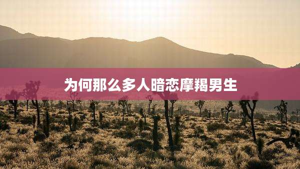 为何那么多人暗恋摩羯男生