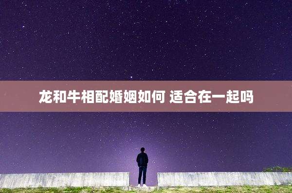 龙和牛相配婚姻如何 适合在一起吗