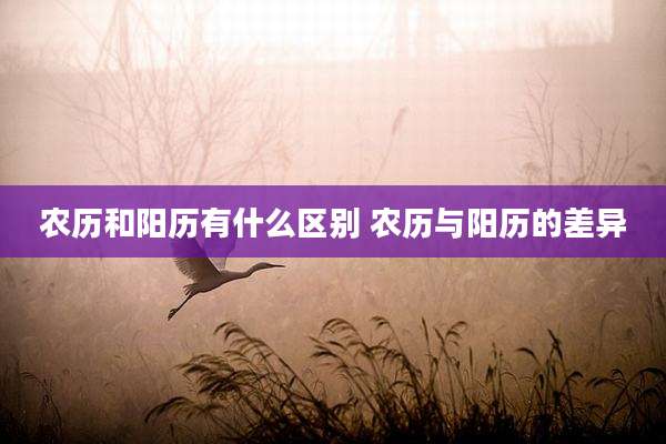农历和阳历有什么区别 农历与阳历的差异