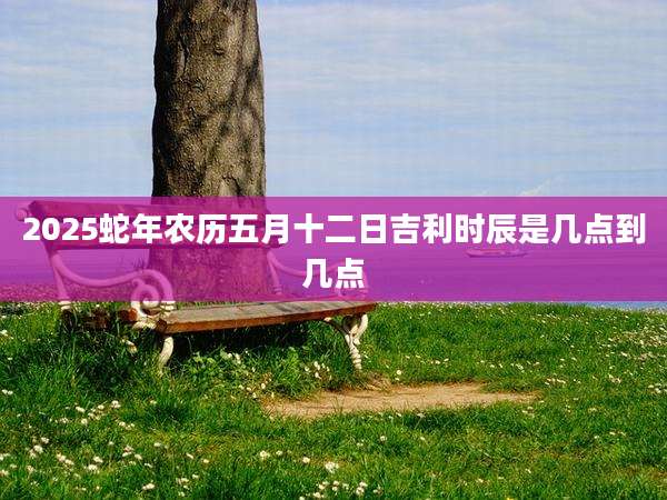 2025蛇年农历五月十二日吉利时辰是几点到几点