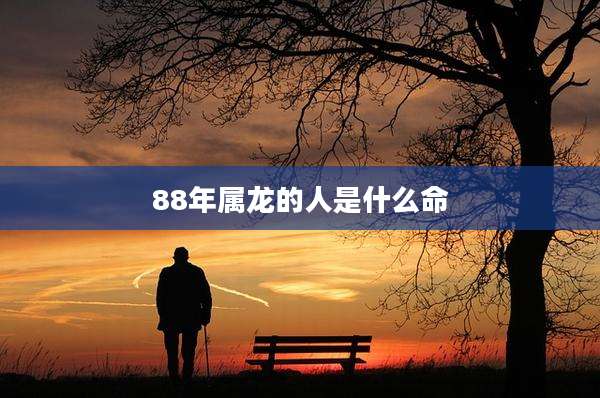 88年属龙的人是什么命