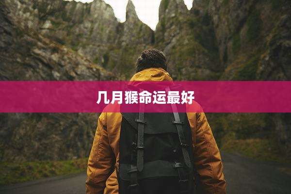 几月猴命运最好