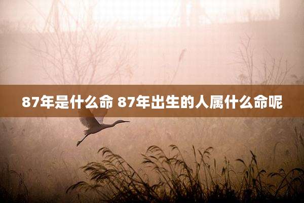 87年是什么命 87年出生的人属什么命呢