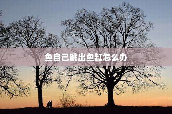 鱼自己跳出鱼缸怎么办