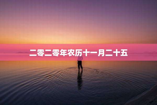 二零二零年农历十一月二十五