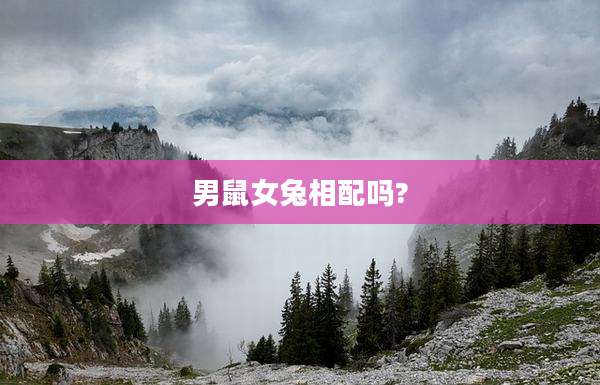 男鼠女兔相配吗?