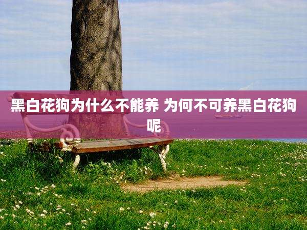 黑白花狗为什么不能养 为何不可养黑白花狗呢