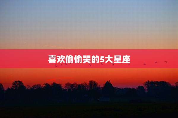 喜欢偷偷哭的5大星座