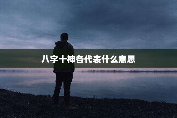 八字十神各代表什么意思