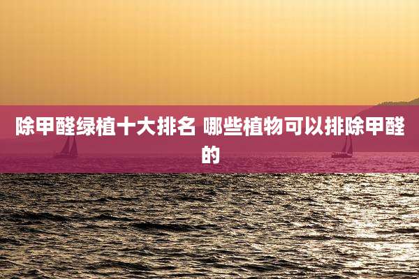 除甲醛绿植十大排名 哪些植物可以排除甲醛的