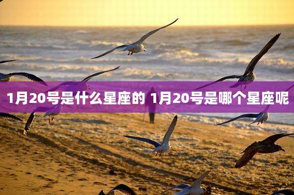 1月20号是什么星座的 1月20号是哪个星座呢